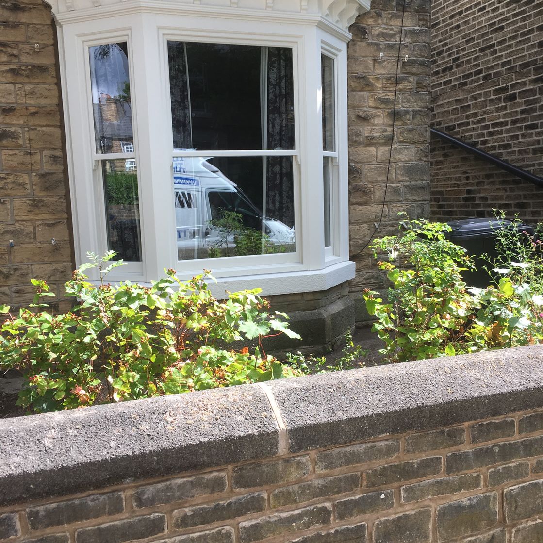 Sash Windows